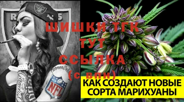спиды Вязьма