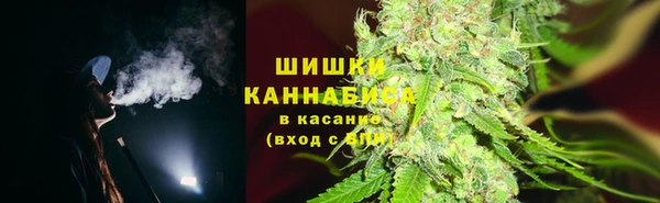 спиды Вязьма