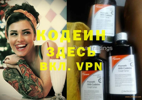 mdpv Вяземский