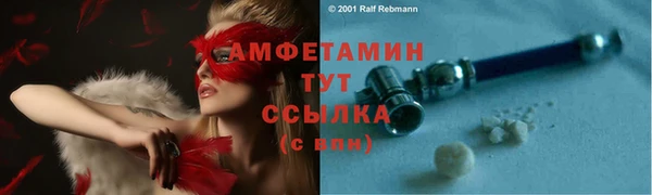 mdpv Вяземский