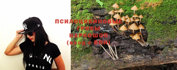 mdpv Вяземский