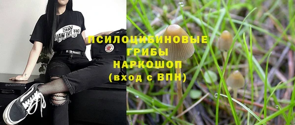 mdpv Вяземский