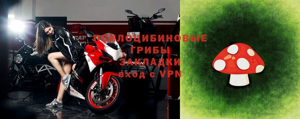 mdpv Вяземский